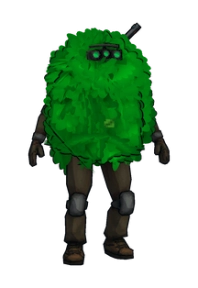 Bush